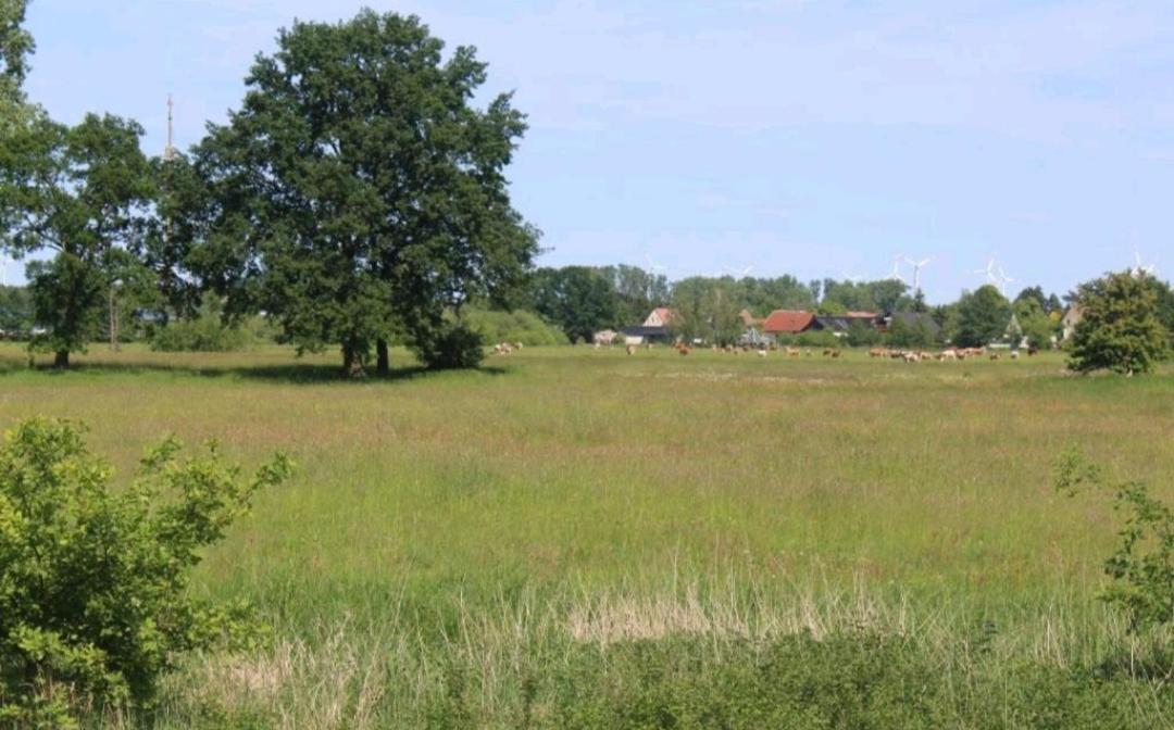 Spreewald Ferienwohnung Noack Lübben Exterior foto